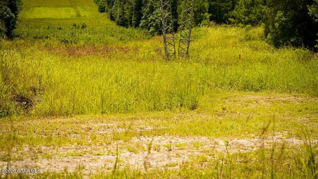 Picture 27