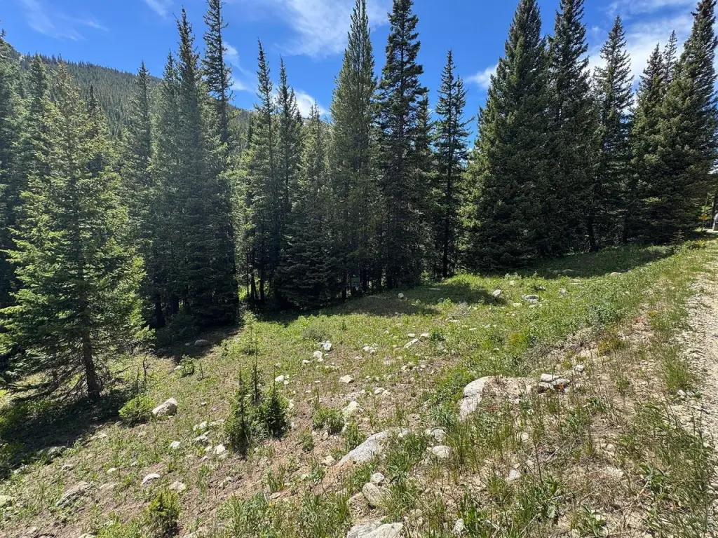 Picture 20