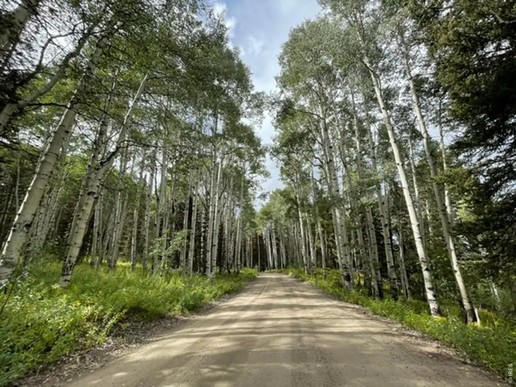 Picture 31