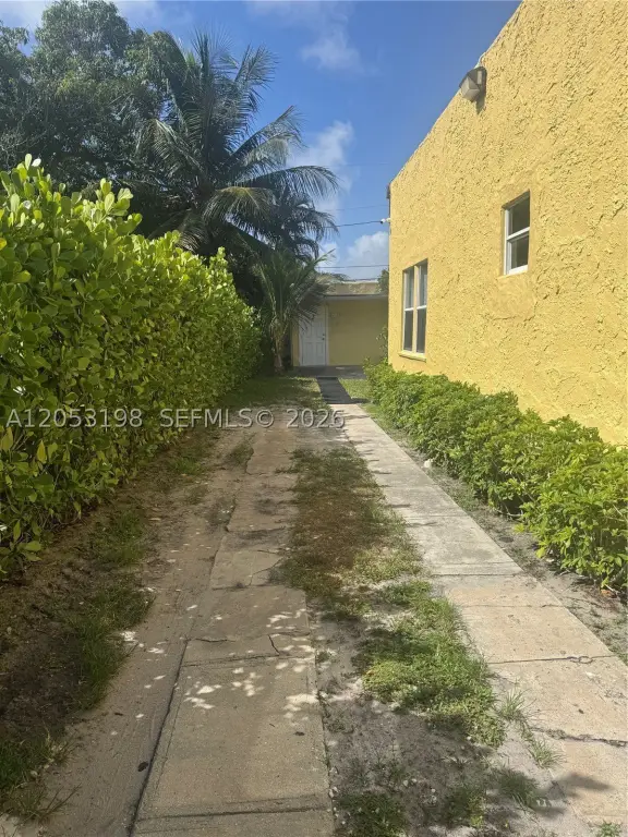 Picture 4