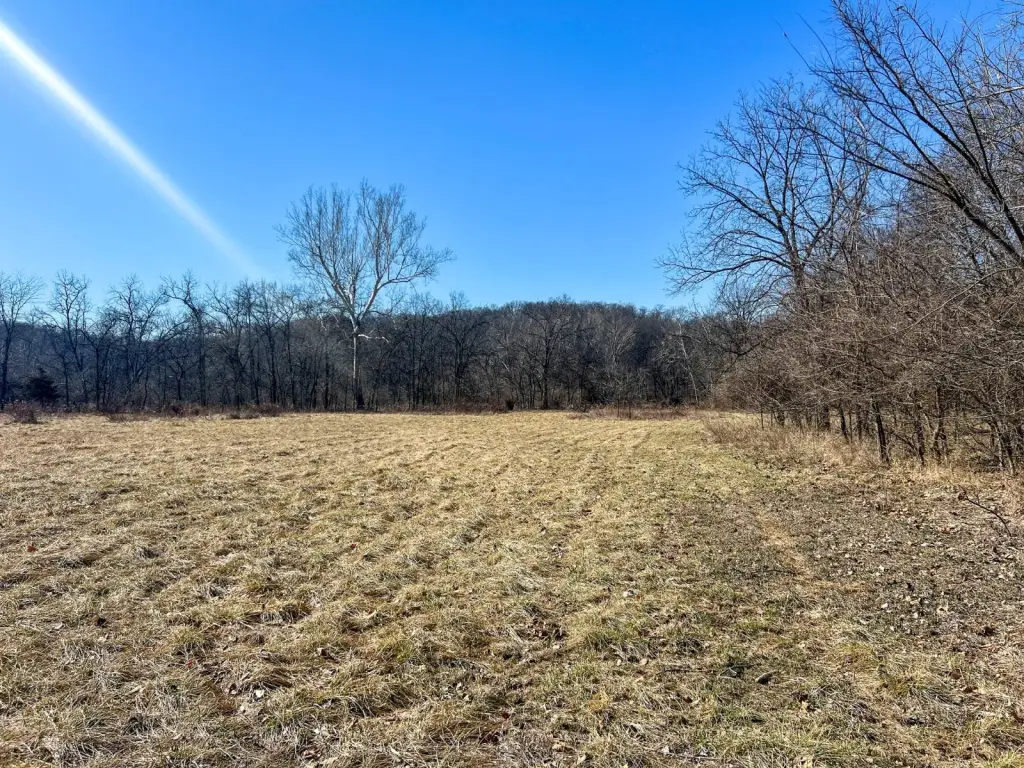 Picture 46