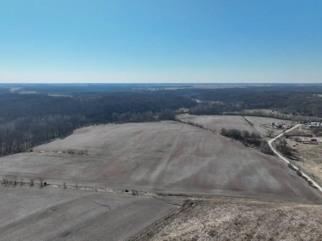 Picture 10