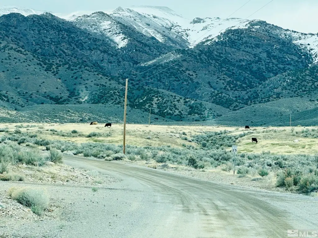 Picture 7