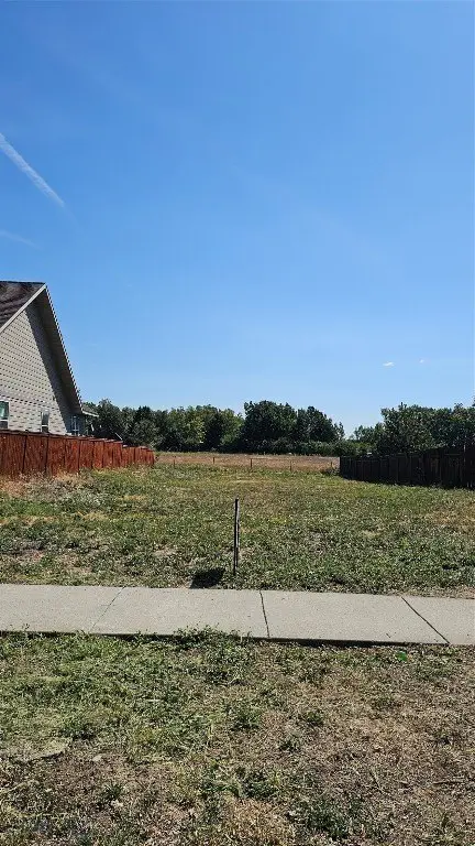 Picture 3