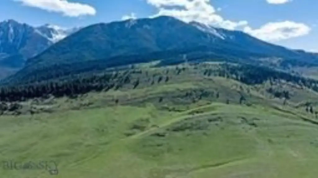 Picture 19