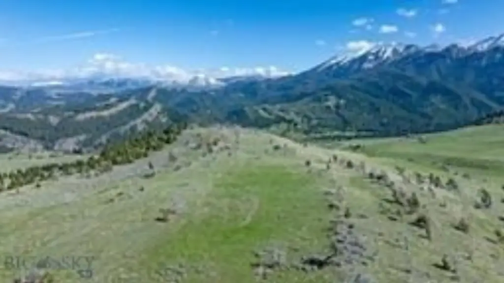 Picture 11