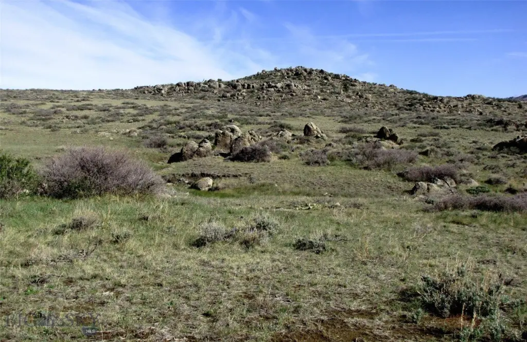 Picture 26