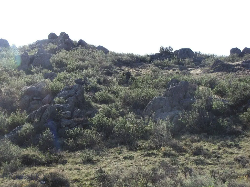 Picture 37
