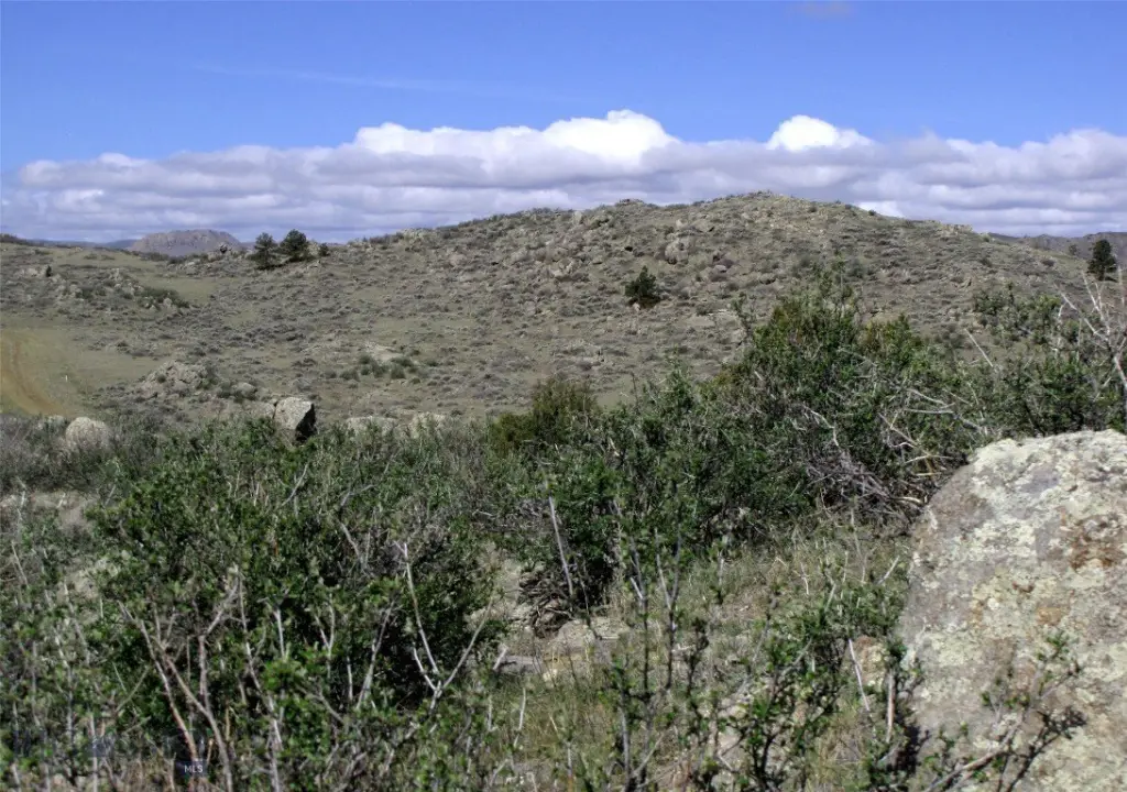 Picture 30