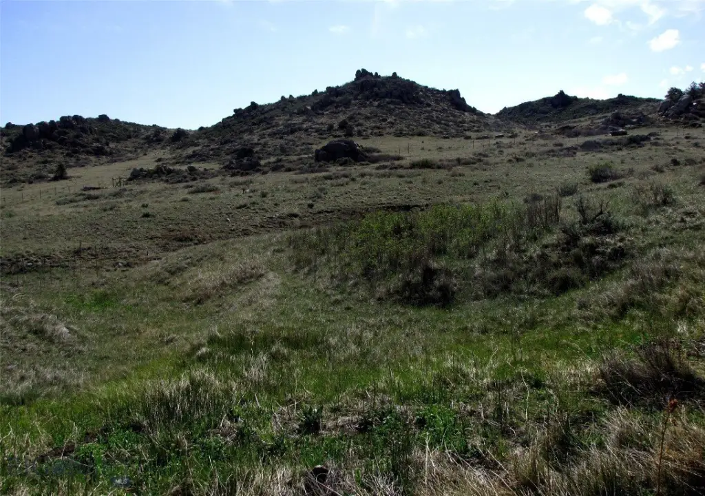 Picture 48