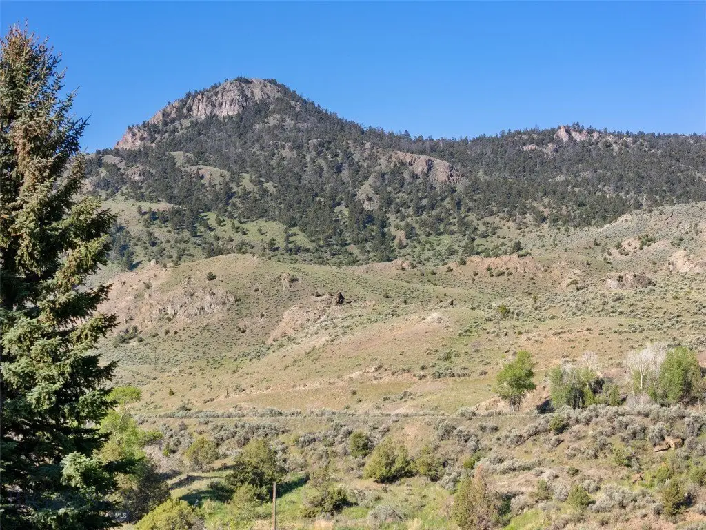 Picture 9