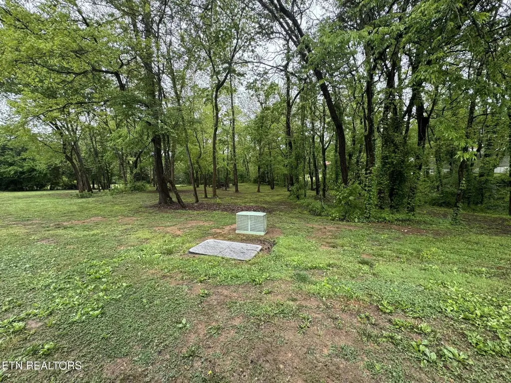 Picture 30