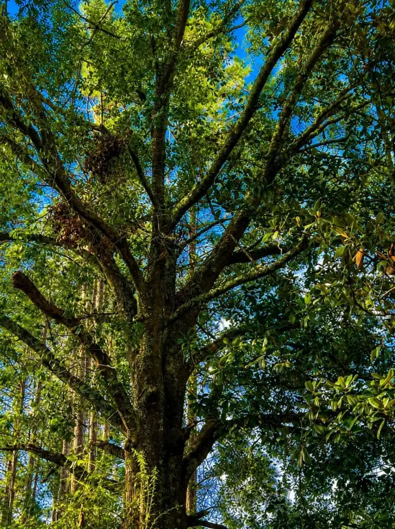 Picture 16