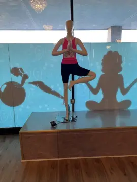 Yoga & Pole Dancing Studio