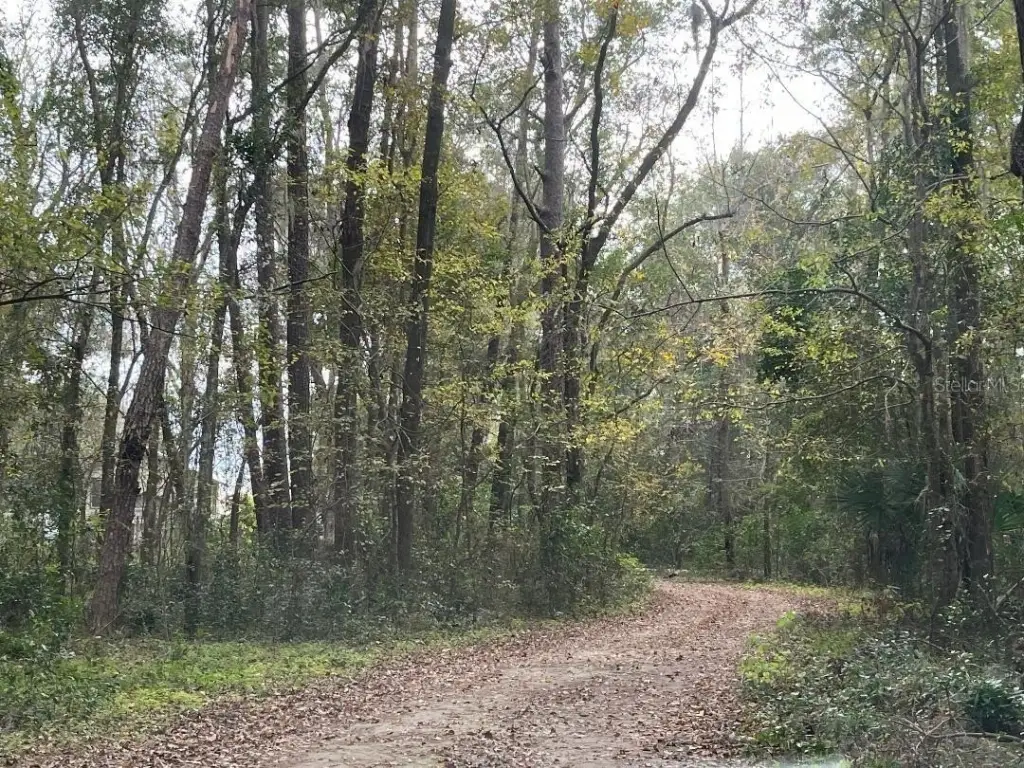 Picture 4