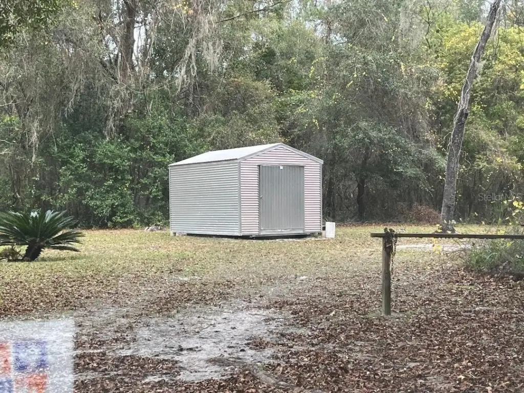Picture 11