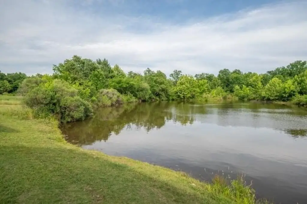 Picture 13