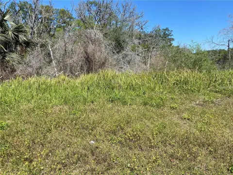 De Leon Springs Land Parcel