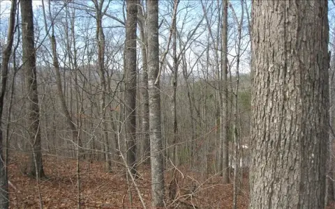 Wooded Lot Near Golf Resort