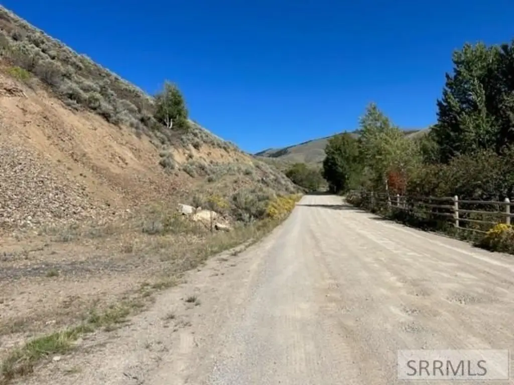 Picture 5