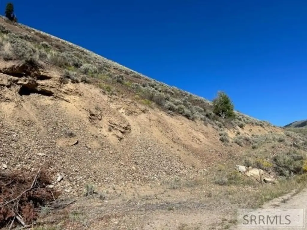 Picture 6