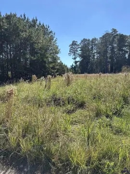 Gated-Community Land