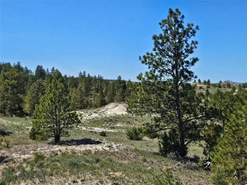 Picture 40