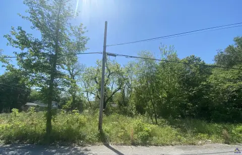 Residential Corner Lot in Macon