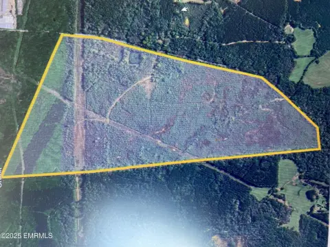 296-Acre Timber Investment Property