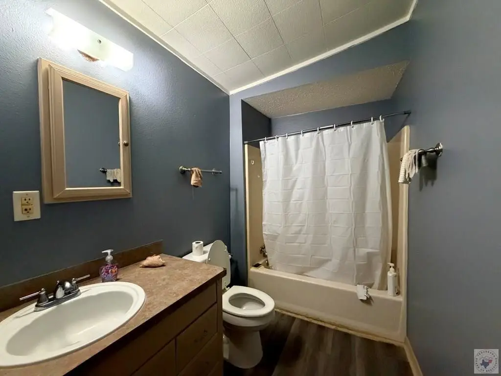 Picture 16