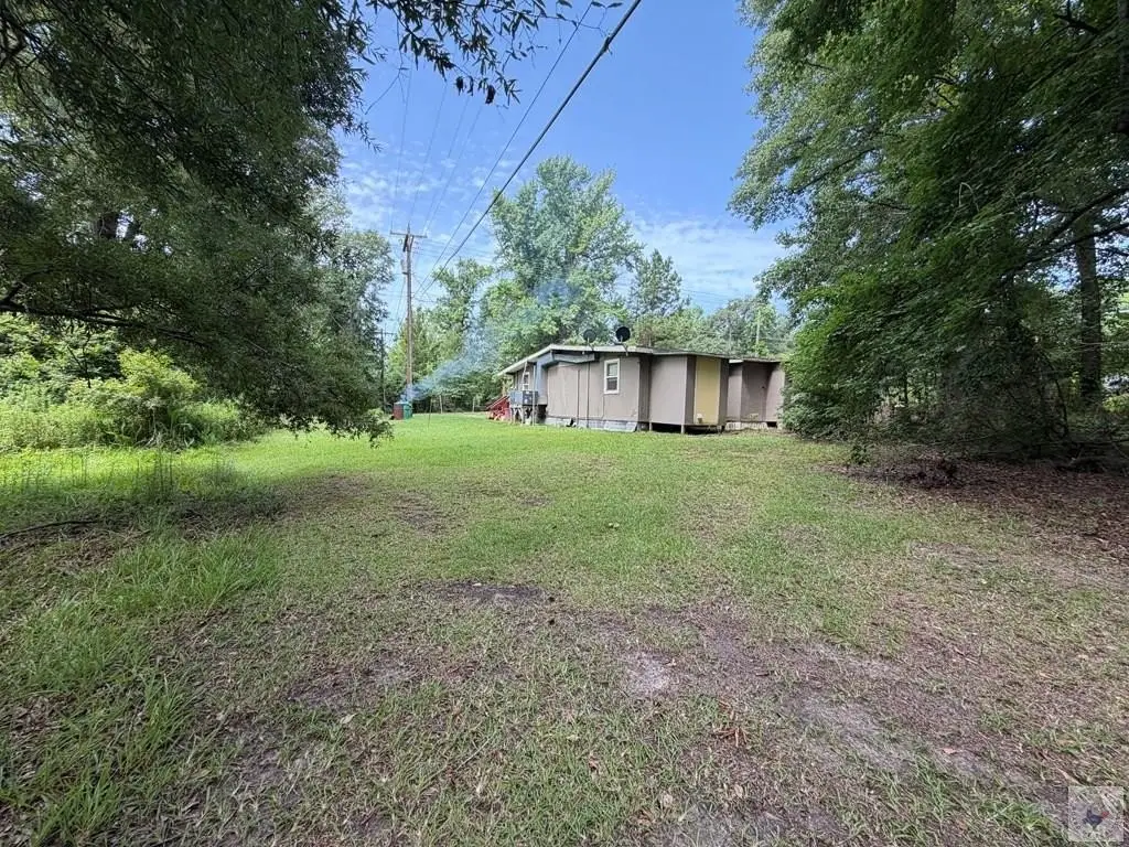 Picture 20
