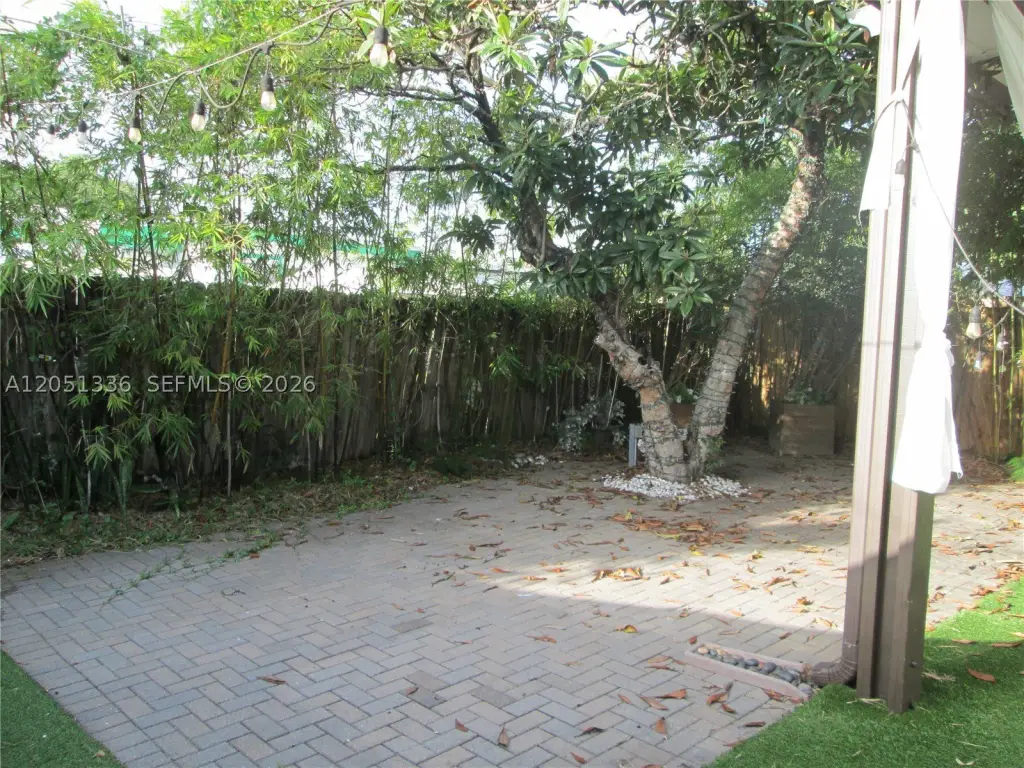 Picture 8