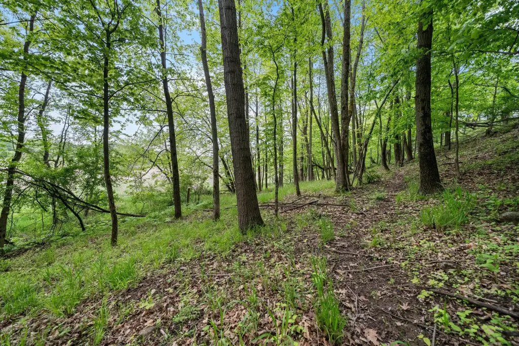 Picture 22