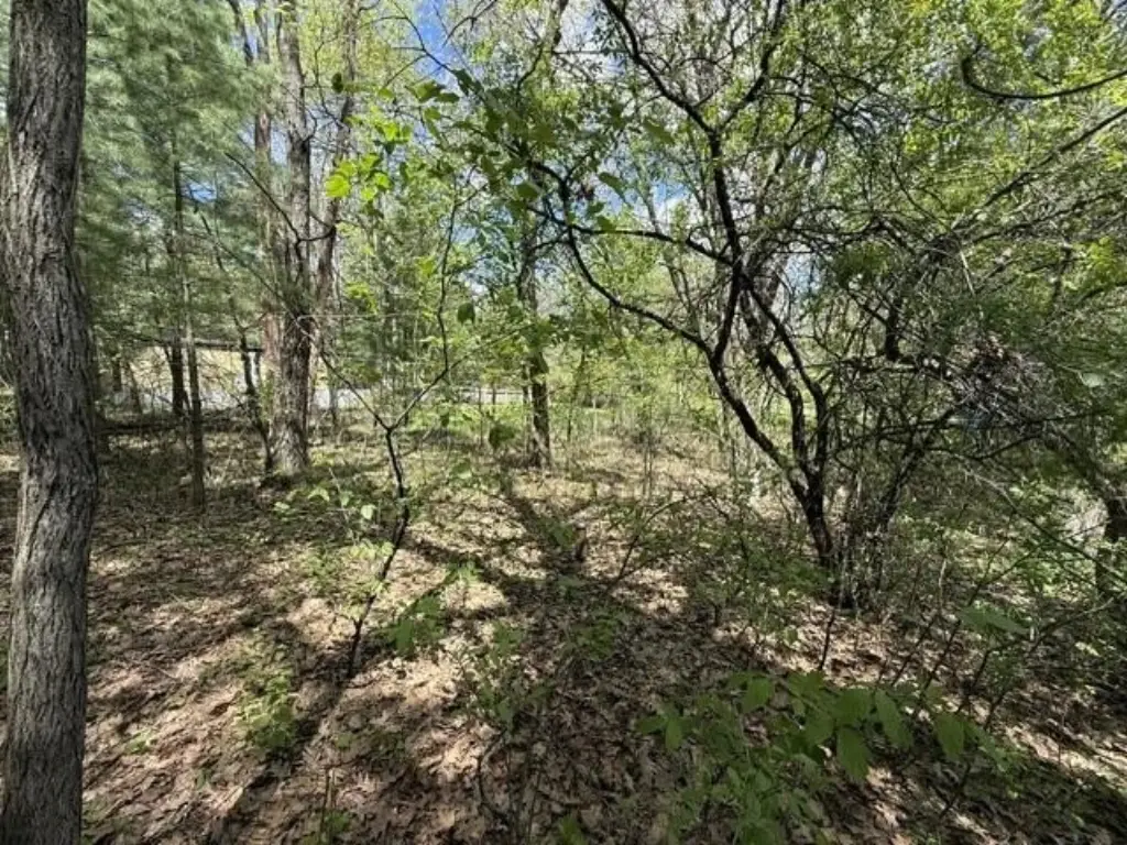 Picture 24