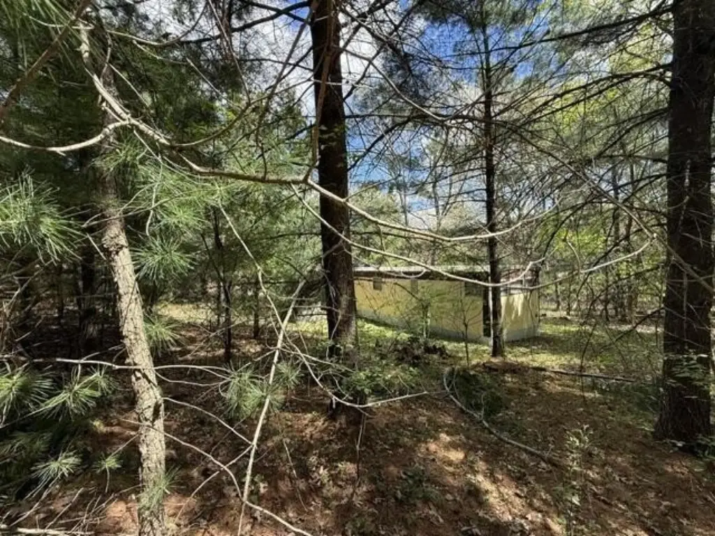 Picture 21