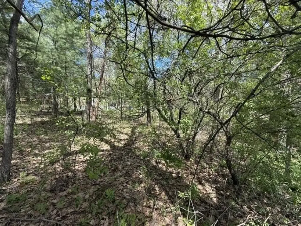Picture 25