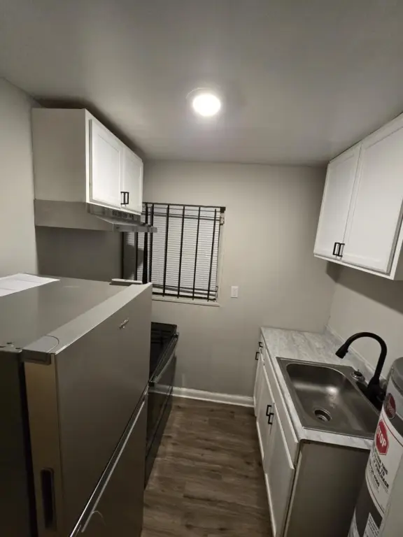 Picture 15