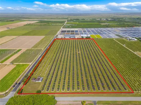 Producing Tropical Fruit Grove Land