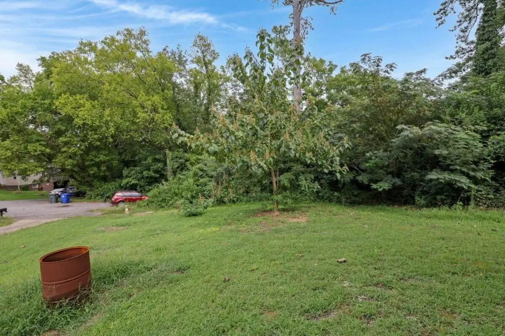 Picture 21