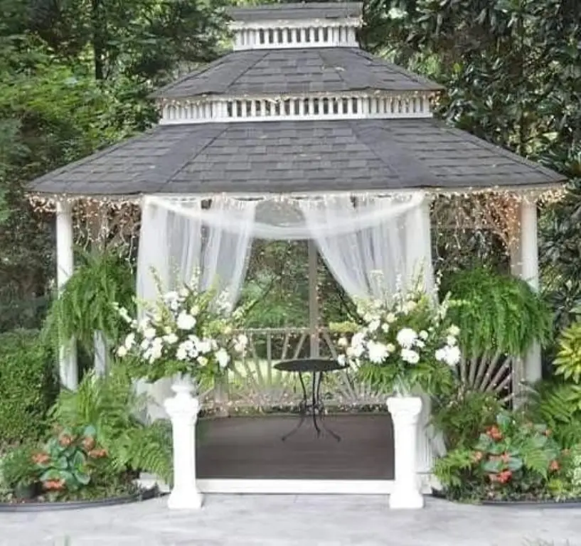 Picture 13