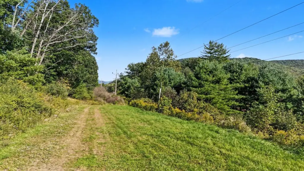 Picture 3
