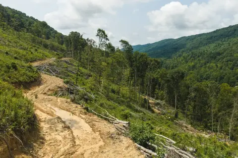 Recreation Land with Year-Round Creek