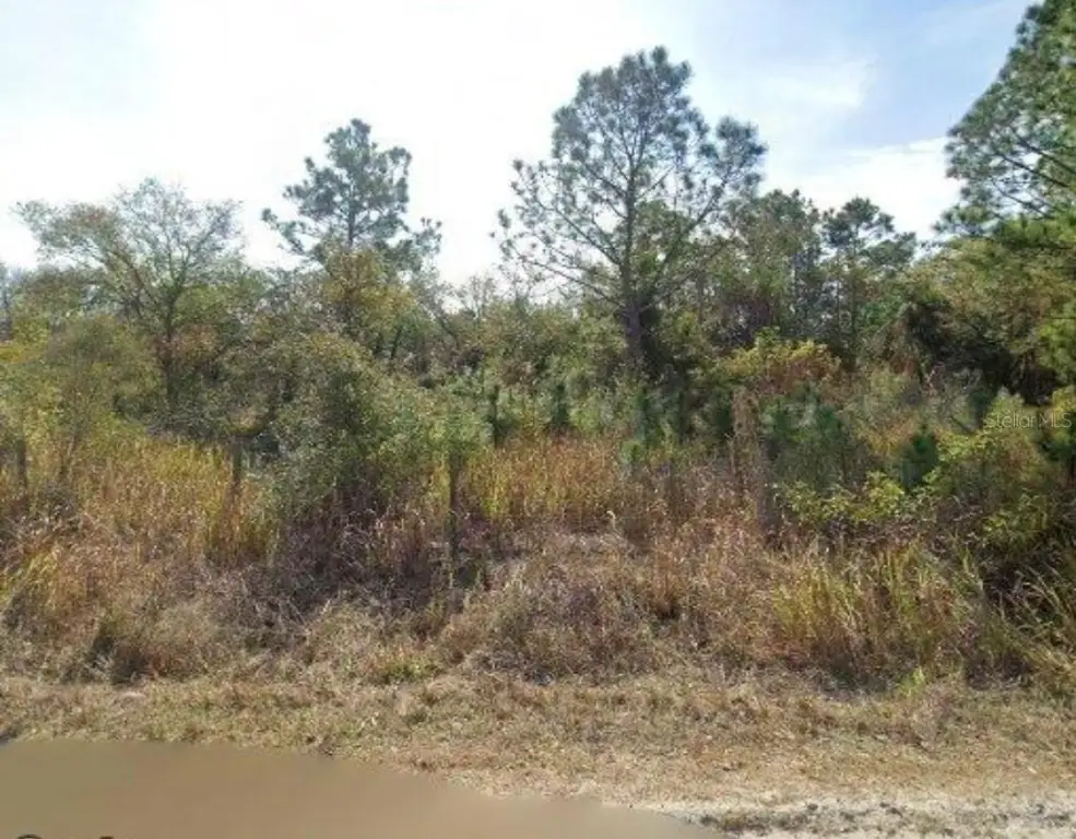 Picture 2