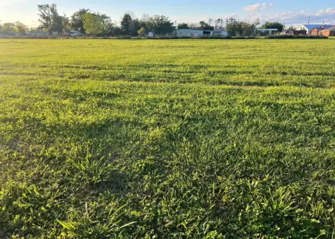 Residential Land in Houma, Louisiana