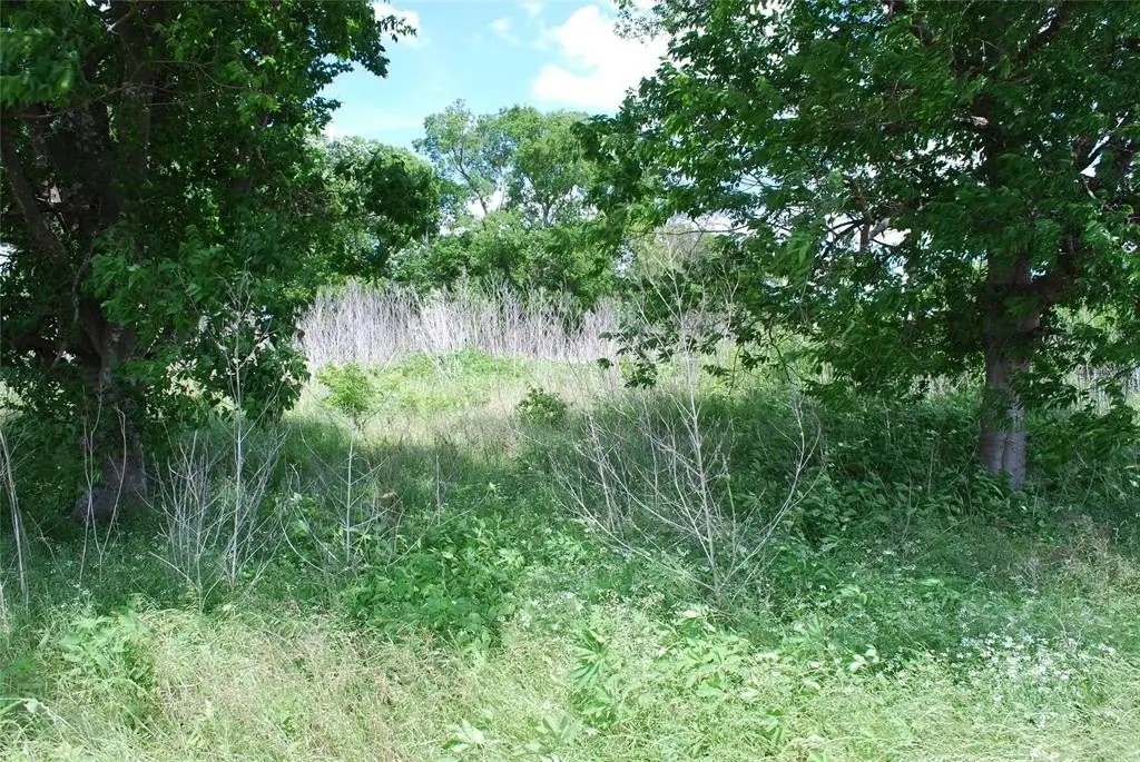 Picture 3