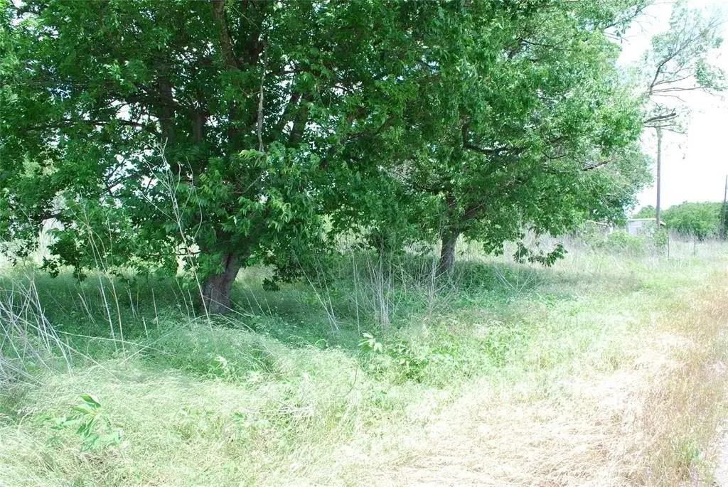 Picture 4