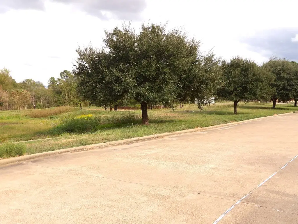 Picture 15