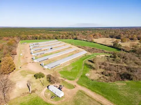 Broiler Farm in Center, Texas