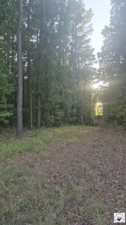 Picture 3