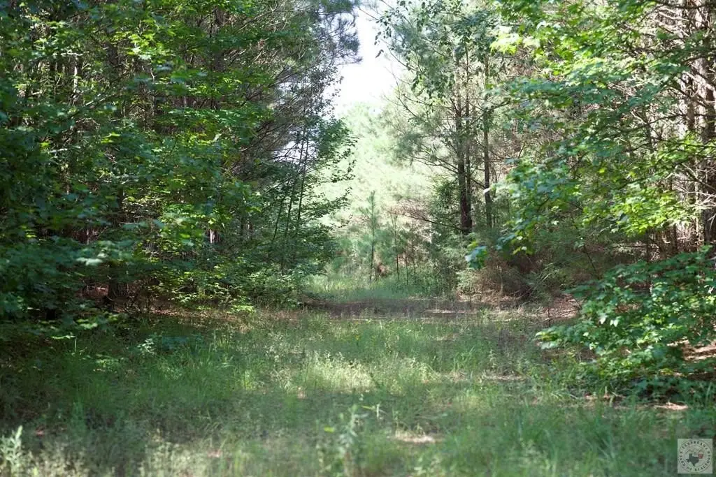Picture 17